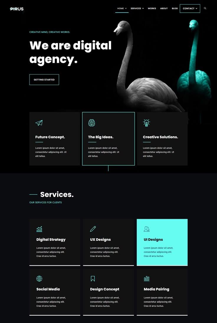 Dark-themed digital agency website template with service categories and flamingo images.